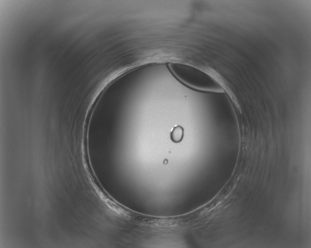 X0000052940861200507151641