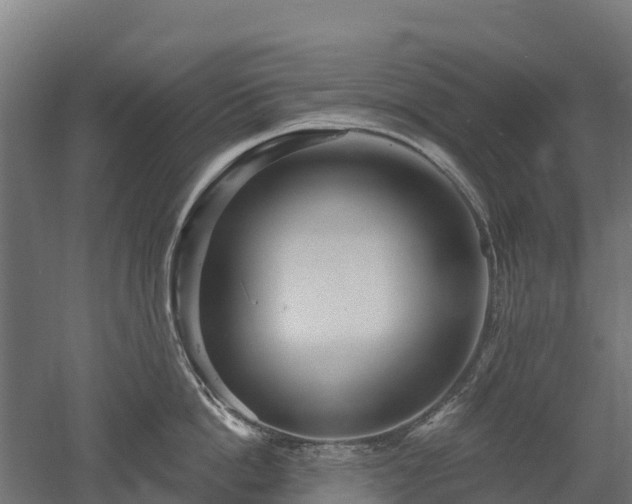 X0000052940862200507151641