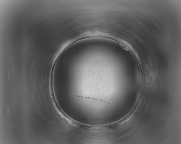 X0000052940863200507151641