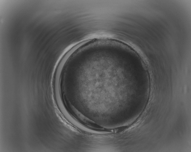 X0000052940864200507151641