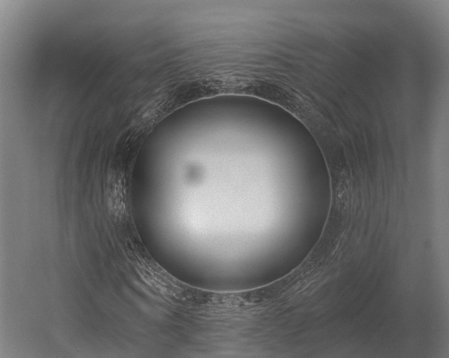 X0000052940866200507151640