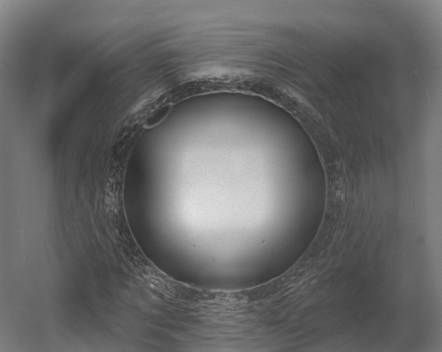 X0000052940869200507151640