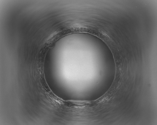 X0000052940870200507151640