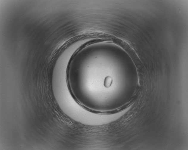 X0000052940871200507151640