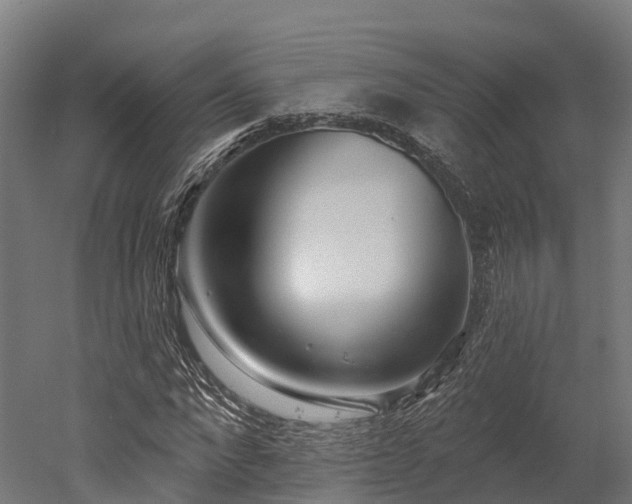 X0000052940872200507151640