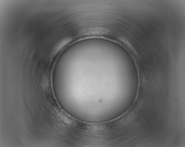 X0000052940874200507151640