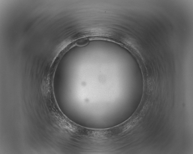 X0000052940875200507151640