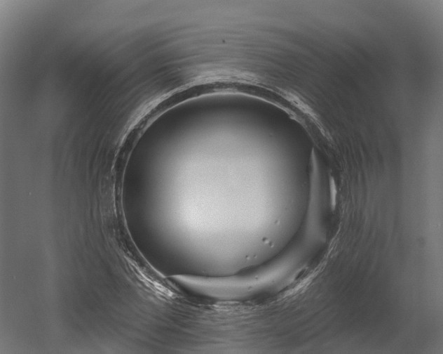 X0000052940877200507151640