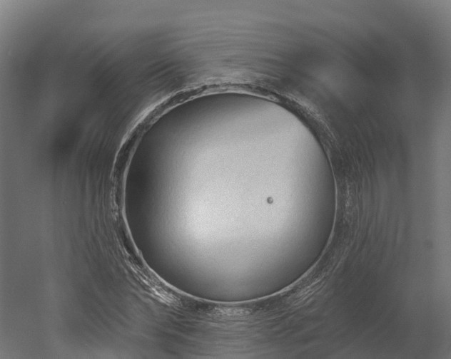 X0000052940878200507151640