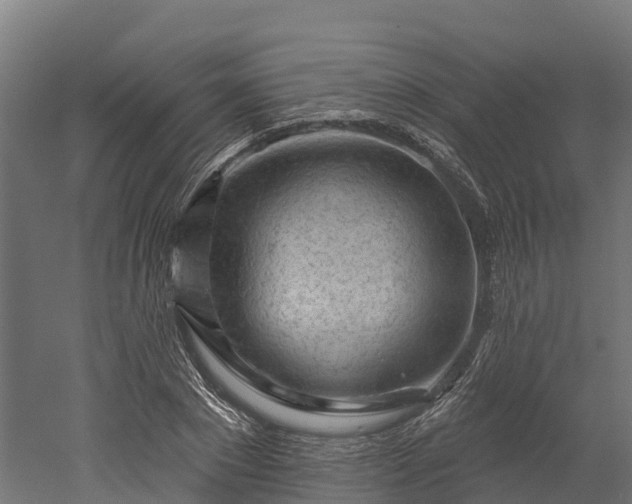 X0000052940881200507151640