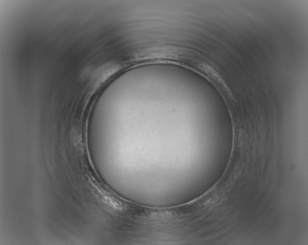 X0000052940882200507151640