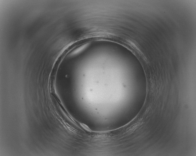 X0000052940883200507151640