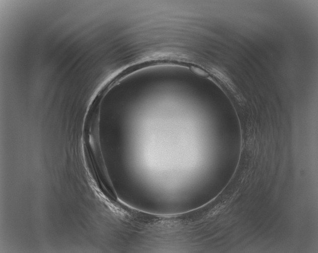 X0000052940888200507151640