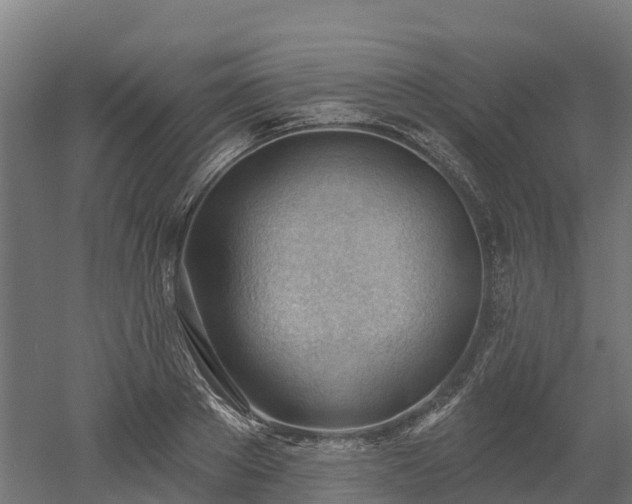 X0000052940889200507151640