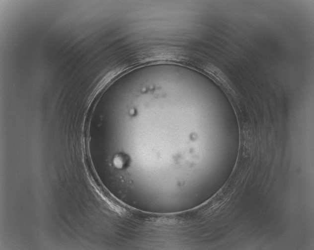 X0000052940890200507151640