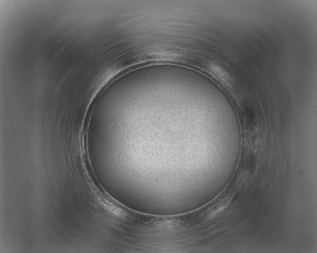 X0000052940891200507151640