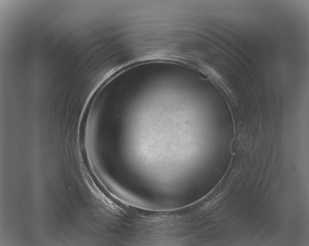 X0000052940892200507151640