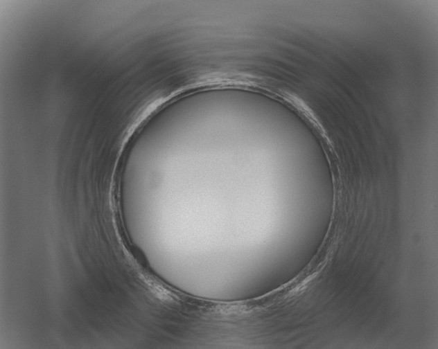 X0000052940893200507151640