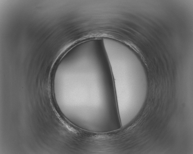 X0000052940894200507151640