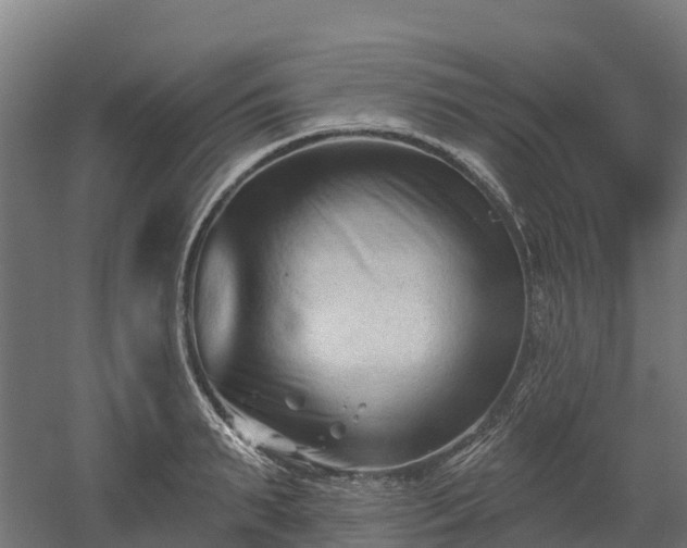 X0000052940895200507151640