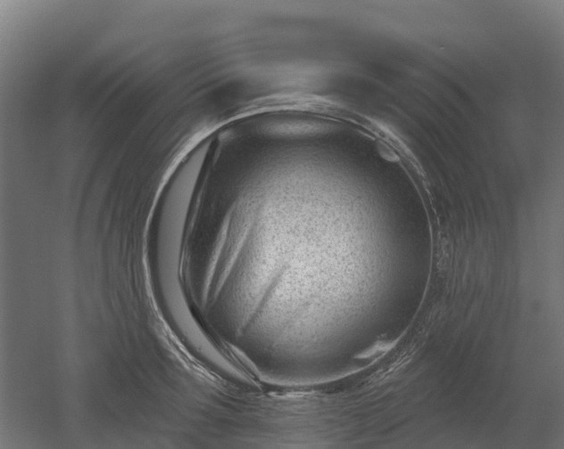 X0000052940899200507151640