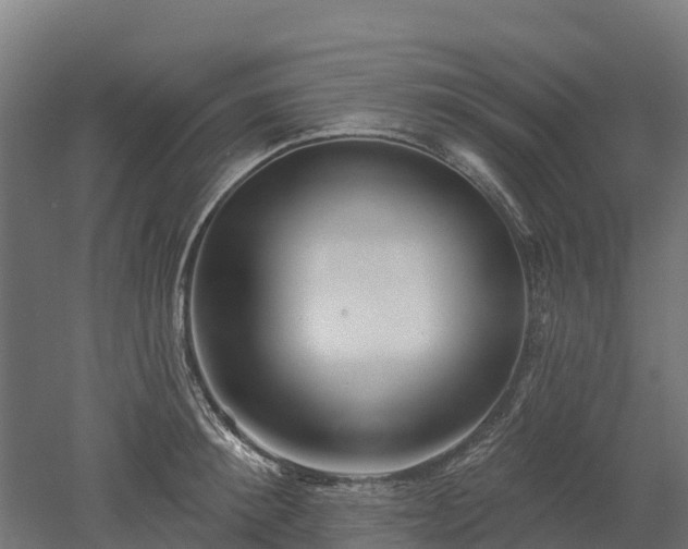 X0000052940900200507151640