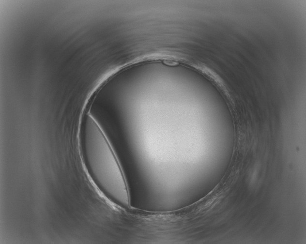 X0000052940902200507151640