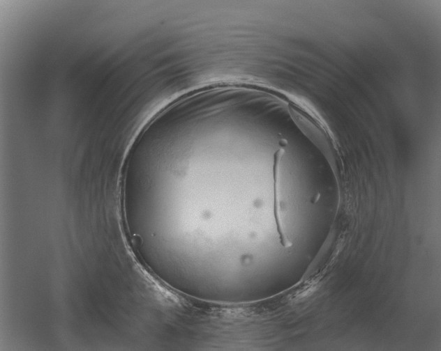 X0000052940903200507151640