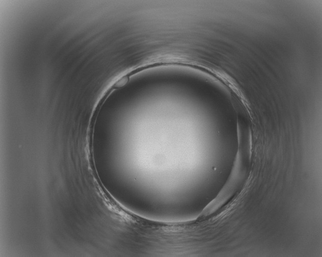 X0000052940904200507151640