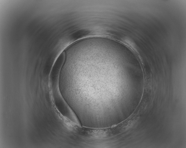 X0000052940907200507151640