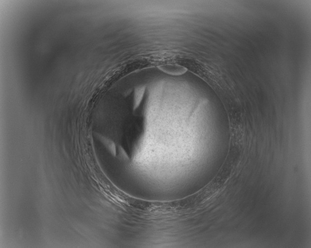 X0000052940913200507151639