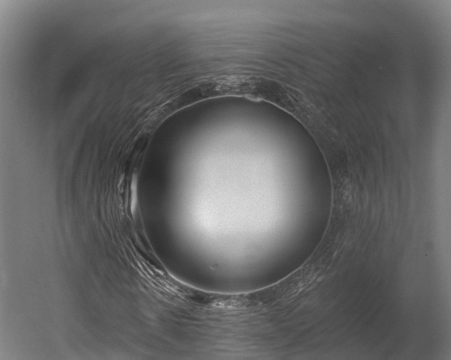 X0000052940914200507151639