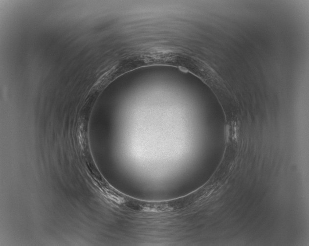 X0000052940915200507151639