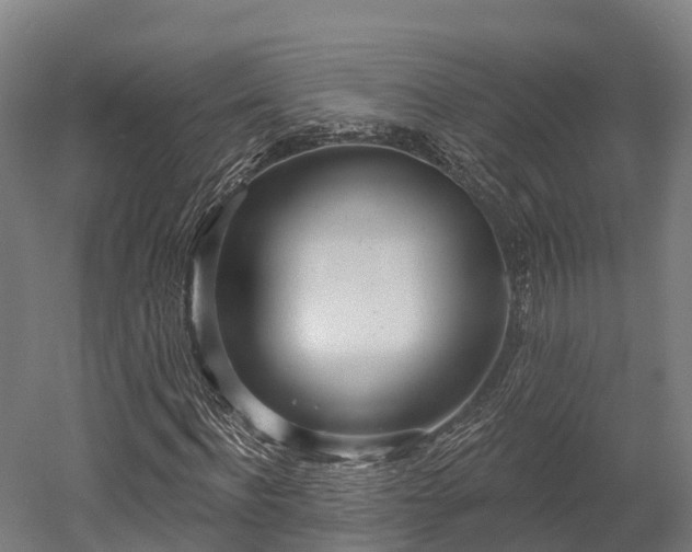 X0000052940916200507151639