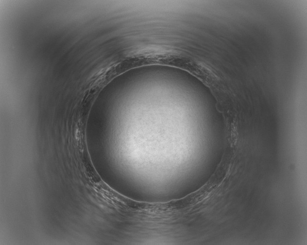 X0000052940917200507151639