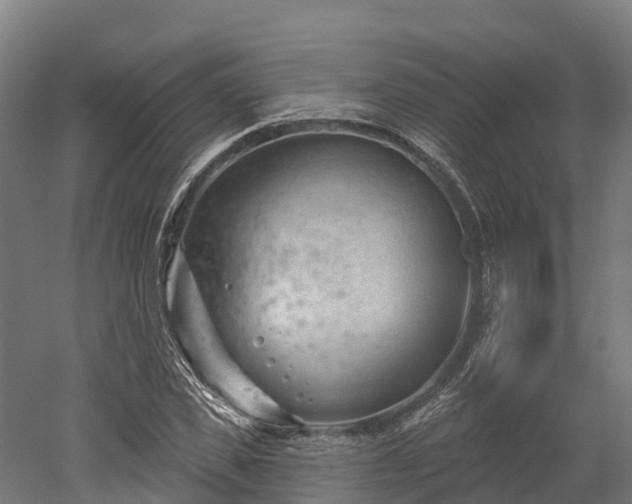 X0000052940925200507151639