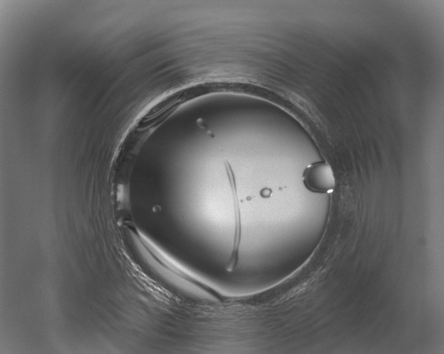 X0000052940926200507151639