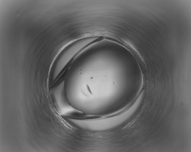 X0000052940932200507151639