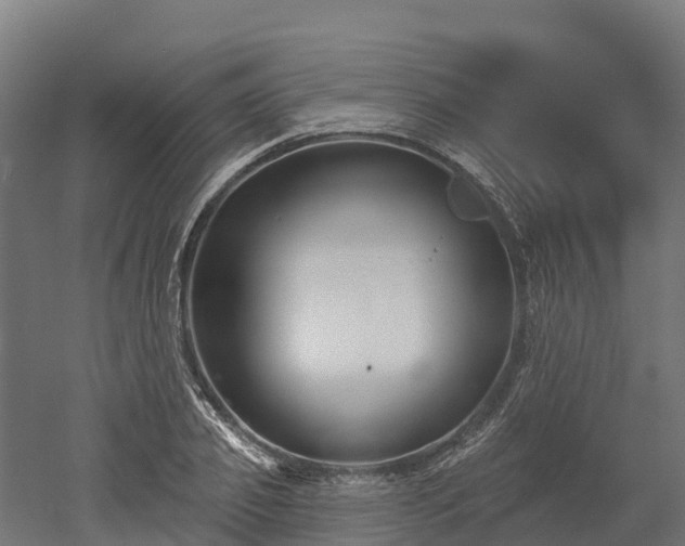 X0000052940933200507151639