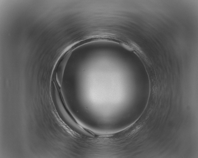 X0000052940940200507151639