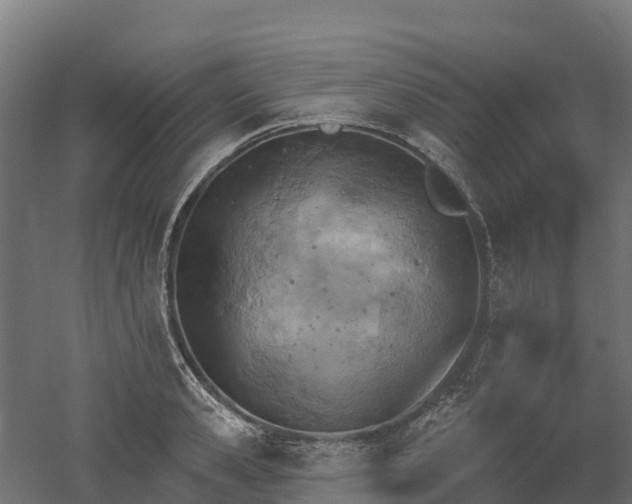 X0000052940941200507151639