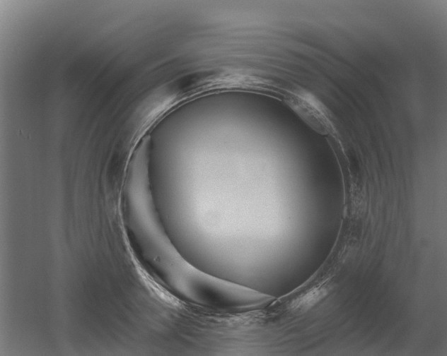 X0000052940946200507151639