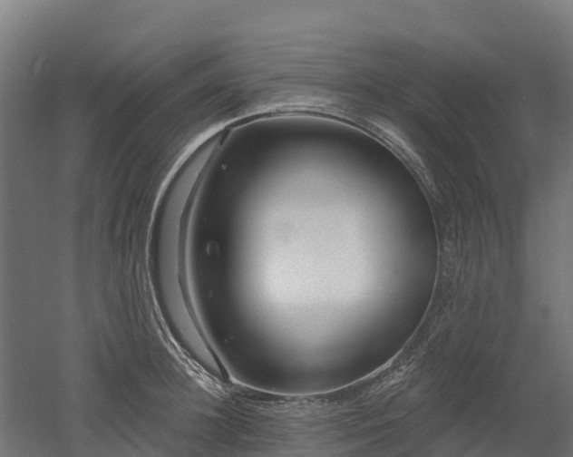 X0000052940948200507151639