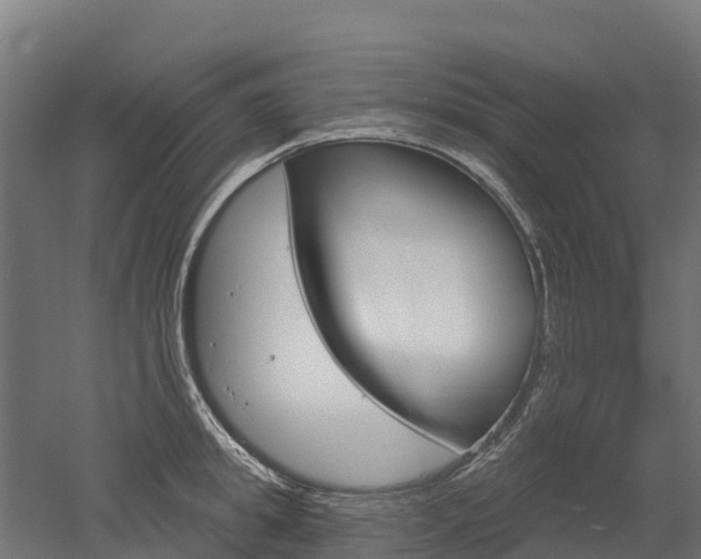 X0000052940949200507151639