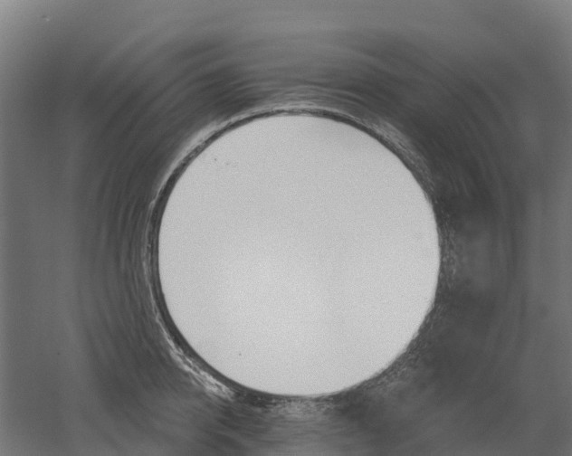 X0000052940950200507151639