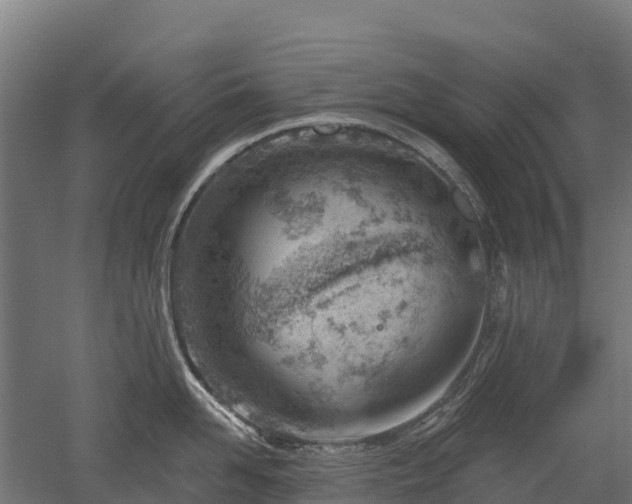 X0000052940958200507151640