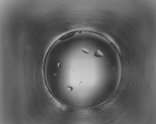 X0000052940959200507151640