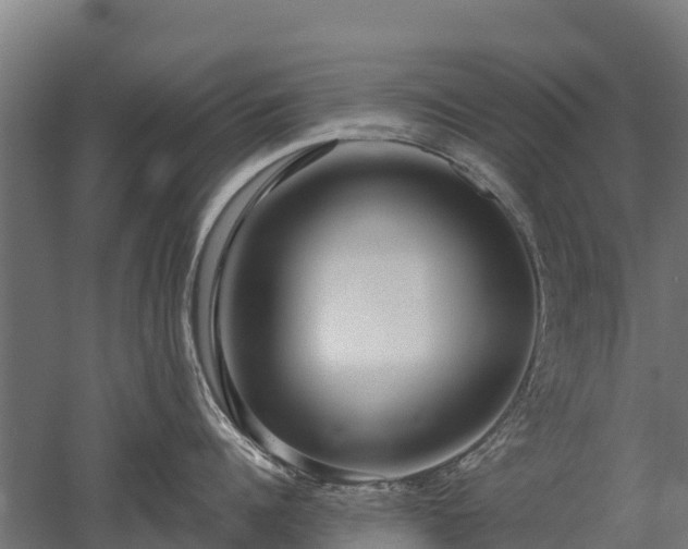 X0000052940960200507151640