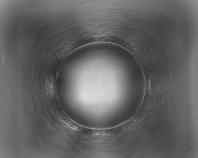 X0000052940963200507151639