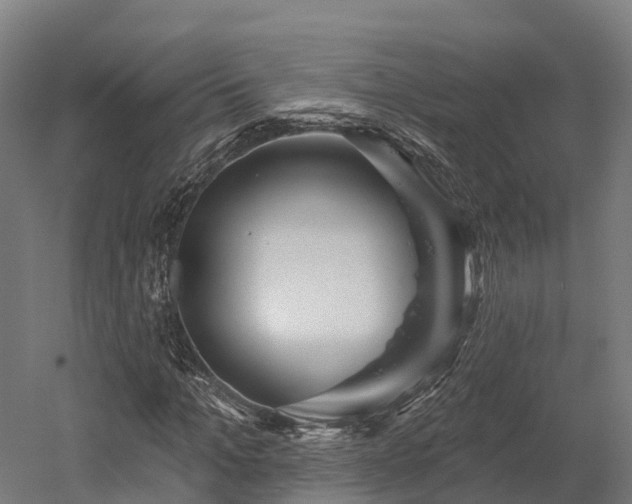 X0000052940965200507151639